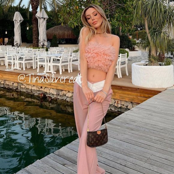 BLOGGER'S FAVE! Zara Knit Strapless Tulle Top Pink NWT - Picture 9 of 17